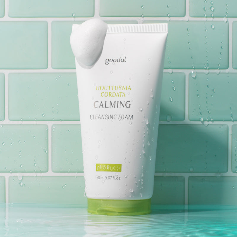  Houttuynia Cordata Calming Cleansing Foam - Korean-Skincare