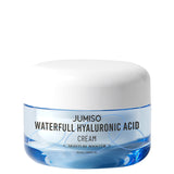 ‍Waterfull Hyaluronic Acid Cream (100% Rabatt)